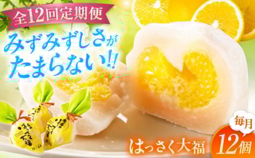 【全12回定期便】お菓子 はっさく大福12個入 お菓子 大福 八朔 柑橘 みかん オレンジ 餅 ギフト お取り寄せ スイーツ フルーツ大福 ご当地 菓子 おかし デザート 食品 人気 おすすめ 柑橘 果