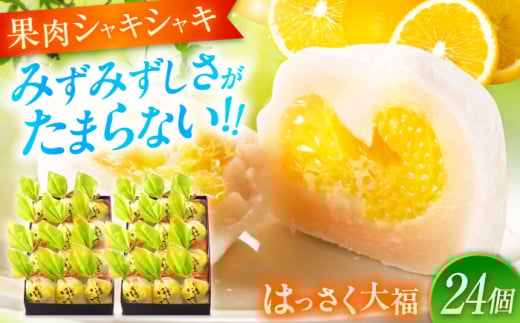 お菓子 はっさく大福12個入×2  お菓子 大福 八朔 柑橘 みかん オレンジ 餅 ギフト お取り寄せ スイーツ フルーツ大福 ご当地 菓子 おかし デザート 食品 人気 おすすめ 果汁 広島県産 特産品