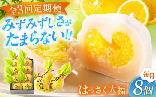 yS3ցzَq ͂啟8  َq 啟  k ݂ IW  Mtg  XC[c t[c啟 n َq  fU[g Hi lC  ʏ` L