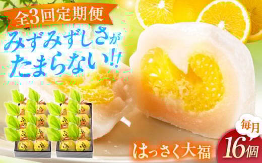 yS3ցzَq ͂啟8×2  َq 啟  k ݂ IW  Mtg  XC[c t[c啟 n َq  fU[g Hi lC  ʏ` L