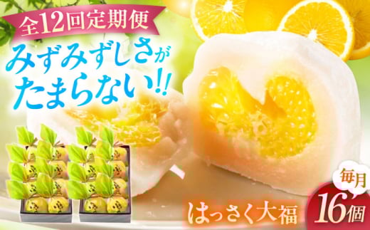 yS12ցzَq ͂啟8×2  َq 啟  k ݂ IW  Mtg  XC[c t[c啟 n َq  fU[g Hi lC  aَq