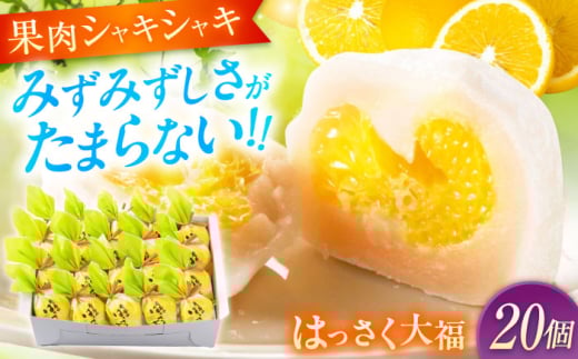 お菓子 はっさく大福20個入  お菓子 大福 八朔 柑橘 みかん オレンジ 餅 ギフト お取り寄せ スイーツ フルーツ大福 ご当地 菓子 おかし デザート 食品 人気 おすすめ 広島県福山市/株式会社虎