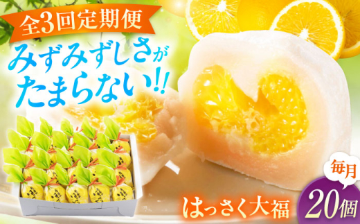 【全3回定期便】お菓子 はっさく大福20個入  お菓子 大福 八朔 柑橘 みかん オレンジ 餅 ギフト お取り寄せ スイーツ フルーツ大福 ご当地 菓子 おかし デザート 食品 人気 おすすめ 果汁 広