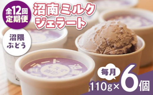 yS12ցzACX ~NWF[g GԂǂ U Ԃǂ uhE ACXN[ WF[g fU[g XC[c }XJbg j[x[A ʏ` n O  