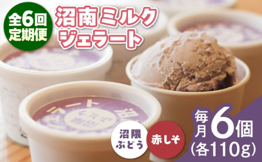 【全6回定期便】アイス 沼南ミルクジェラート 沼隈ぶどう&赤しそ 各3個 食べ比べセット ぶどう 赤しそ ジェラート セット アイスクリーム デザート スイーツ ご当地 ニューベリーA フルー