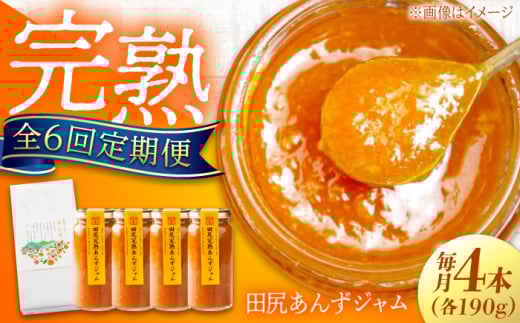 【全6回定期便】 ジャム 田尻完熟あんずジャム (4本) 果物 トースト フルーツ ジャム あんず パン 甘い 菓子 菓子パン 食パン デザート ヨーグルト ペースト スイーツ 完熟 甘味 朝ごはん 人