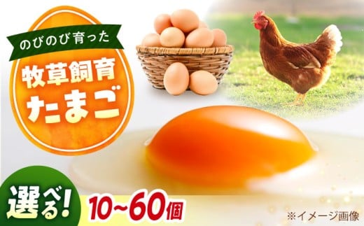 天心山 たまご 10個(10個入×1パック) 卵 たまご 高級 食品 たまごかけご飯 卵かけご飯 卵焼き 生卵 濃厚 ケーキ お菓子 づくり ランキング 上位 人気 おすすめ  広島県福山市/天心山ファー