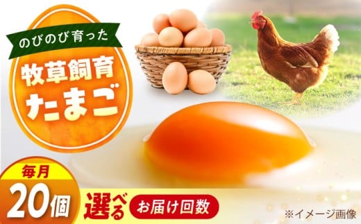 天心山 たまご 20個 【回数が選べる定期便】【全12回定期便】卵 たまご 高級 食品 たまごかけご飯 卵かけご飯 卵焼き 生卵 濃厚 ケーキ お菓子 づくり ランキング 上位 人気 おすすめ 定期便