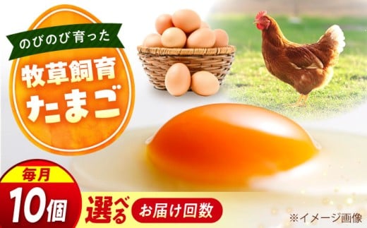 VSR ܂ 10 y񐔂IׂցzyS12ցz ܂  Hi ܂  Ă  Z P[L َq Â LO  lC  