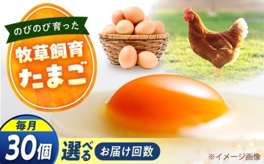 天心山 たまご30個 【回数が選べる定期便】卵 たまご 高級 食品 たまごかけご飯 卵かけご飯 卵焼き 生卵 濃厚 ケーキ お菓子 づくり ランキング 上位 人気 おすすめ 定期便 広島県福山市/天