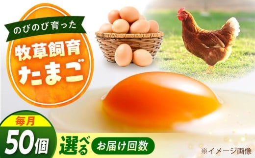天心山 たまご 50個 【回数が選べる定期便】【全3回定期便】卵 たまご 高級 食品 たまごかけご飯 卵かけご飯 卵焼き 生卵 濃厚 ケーキ お菓子 づくり ランキング 上位 人気 おすすめ 定期便