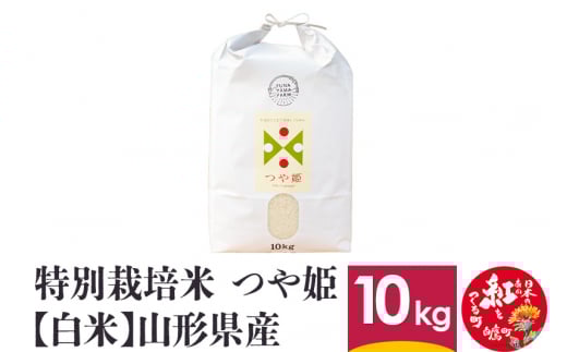特別栽培米 つや姫 10kg 【白米】 山形県産 【船山ファーム】令和5年産山形県白鷹町15000米・パン白米