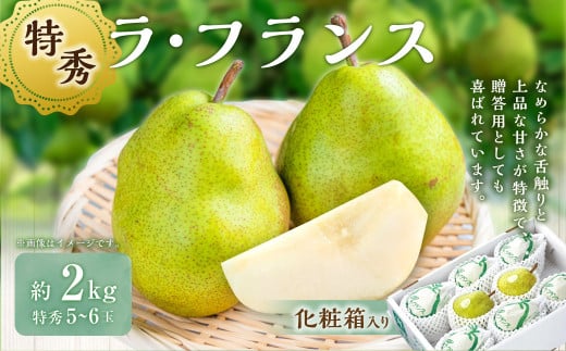 ラ・フランス (特秀)  2kg 【化粧箱入り】 山形県産 フルーツ 果物 【2025年11月上旬-12月上旬発送予定】山形県白鷹町11000果物・フルーツりんご・梨
