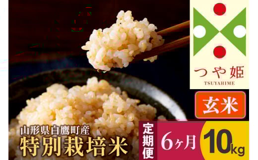 s6tyāzP 10kg×6iʍ͔|ājߘa5NY R`Y 炽̂ĎR`钬120000āEp