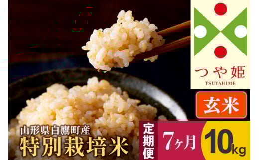《定期便7ヶ月》【玄米】つや姫 10kg×7回(特別栽培米)令和5年産 山形県産 しらたかのお米山形県白鷹町140000米・パン白米