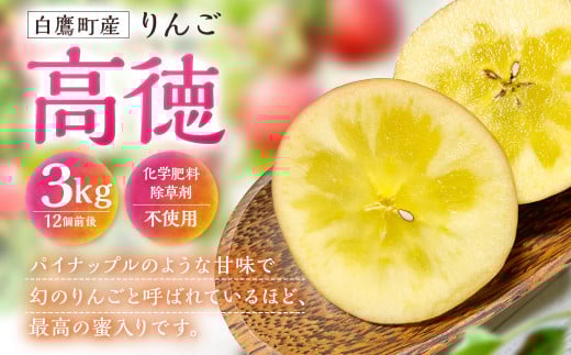 白鷹町産りんご (高徳) 3kg りんご 林檎 果物 くだもの フルーツ 旬 高徳 国産 山形県 白鷹町 【2025年11月上旬〜11月下旬発送予定】山形県白鷹町23000果物・フルーツりんご・梨