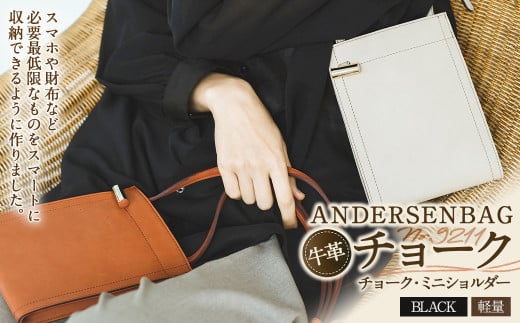 ANDERSENBAG  `[N No.9211 `[NE~jV_[ ubN  V_[ obO ΂  Jo y  ΂߂ U[ vR`钬110000ߗށEiEH|iEobO