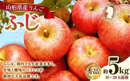 山形県産 りんご ふじ 約5kg 秀品 リンゴ 林檎 果物 くだもの フルーツ 山形 【2025年12月上旬〜12月下旬順次発送予定】山形県白鷹町20000果物・フルーツりんご・梨