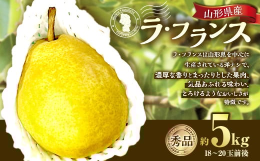 山形県産 ラ・フランス 約5kg 秀品 洋梨 ラフランス 西洋梨 洋ナシ 洋なし ようなし 果物 くだもの フルーツ 山形 【2025年12月上旬〜12月下旬順次発送予定】山形県白鷹町20000果物・フルーツり