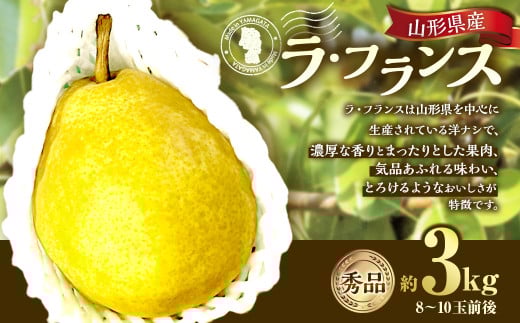 山形県産 ラ・フランス 約3kg 秀品 洋梨 ラフランス 西洋梨 洋ナシ 洋なし ようなし 果物 くだもの フルーツ 山形 【2025年12月上旬〜12月下旬順次発送予定】山形県白鷹町15000果物・フルーツり