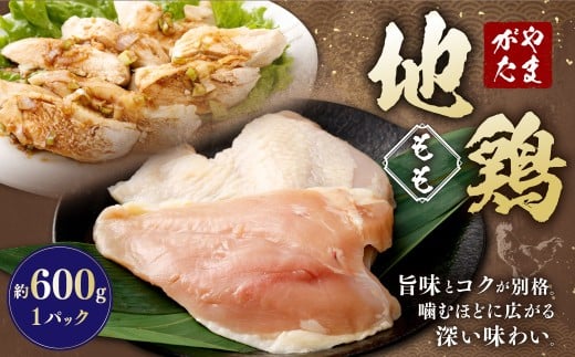 やまがた地鶏 もも 約600g 地鶏 モモ肉 国産 お取り寄せ山形県白鷹町11000肉鶏肉