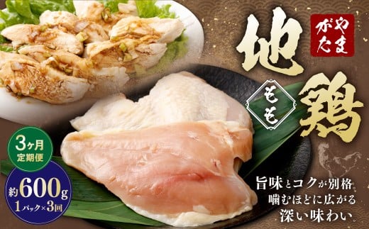【3ヶ月定期便】 やまがた地鶏 もも 約600g 3回 計1.8kg 地鶏 モモ肉 国産 お取り寄せ山形県白鷹町33000肉鶏肉