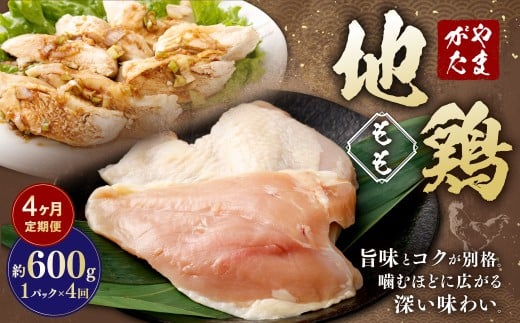 【4ヶ月定期便】 やまがた地鶏 もも 約600g 4回 計2.4kg 地鶏 モモ肉 国産 お取り寄せ山形県白鷹町44000肉鶏肉