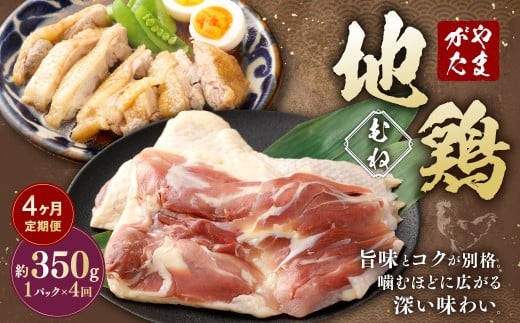 y4ցz ܂n{ ނ 350g 4 v1.4kg n{ l Y 񂹎R`钬37000{