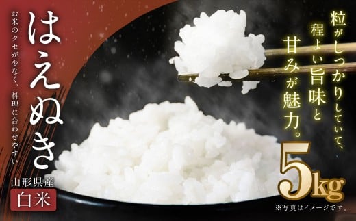 【令和7年産新米】〈白米〉はえぬき 5kg <1回のお届け>  山形県産 新米 お米 【2025年11月上旬発送開始予定】山形県白鷹町18000米・パン白米