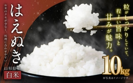 【令和7年産新米】〈白米〉はえぬき 10kg <1回のお届け> 山形県産 新米 お米 【2025年11月上旬発送開始予定】山形県白鷹町32000米・パン白米