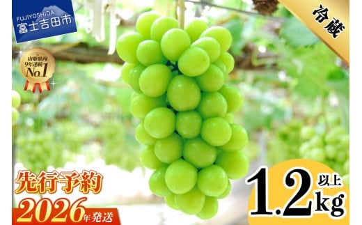 【2026年発送 先行予約】山梨県産 シャインマスカット2〜3房 (1.2kg以上) フルーツ シャインマスカット 果物 旬 高級 山梨 富士吉田市山梨県富士吉田市12000果物・フルーツマスカット・ぶどう