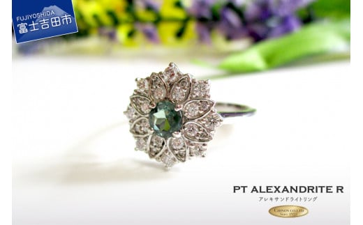 ALThCgO v`i w O WG[ _C  _Ch PT WG[O v`iO wփANZT[ Ίӕʏt KT997Rxmgcs750000