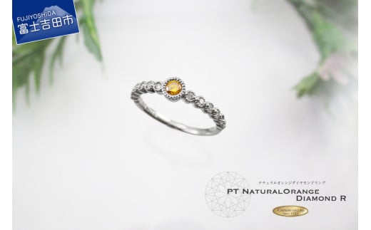 IW_Ch v`iO KT1078Rxmgcs350000ߗށEiEH|iANZT[