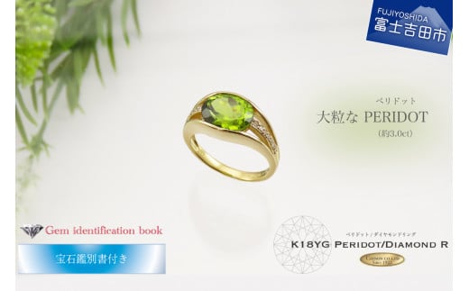 嗱 yhbgO y K18 CG[S[h z w yhbg _Ch O WG[ _C 18 Ίӕʏt KT-1138Rxmgcs450000ߗށEiEH|iANZT