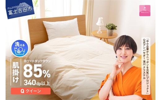 �H�ѕz�c �y�b�B�H�тӂƂ�z�􂦂�H�є��|���ӂƂ�i�N�C�[���j   �|���z�c �􂦂�z�c �N�C�[�� �ӂƂ� �z�c �Q��  ���|�� �H�ѕz�c �y�� �y�� �R�� �x�m�g�c�R�����x�m�g�c�s60000�G�݁E