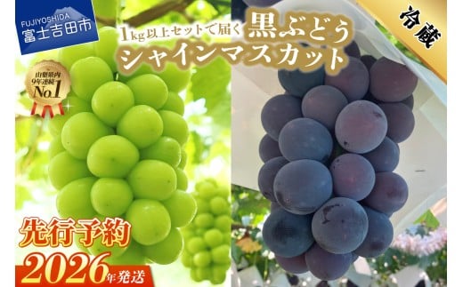 【2026年発送 先行予約】ジューシーで甘さ抜群 シャインマスカットと黒ぶどうセット(1kg以上) マスカット ぶどう 果物 フルーツ 旬 高級 2026年 山梨 富士吉田山梨県富士吉田市11000果物・フル