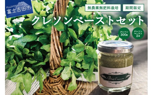 富士吉田市のクレソンペーストセット山梨県富士吉田市8000野菜・きのこその他 野菜