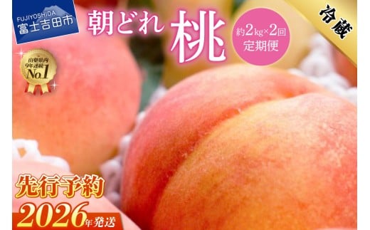y2026N s\zy2ցzRǂ꓍2kg×2ziPnEnj   2  Pn n t[c ʕ R xmgcsRxmgcs24000ʕEt[c