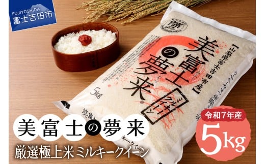 y3zߘa7NY xm̖ Iɏă~L[NC[5kg xmgcsYRxmgcs18000āEp