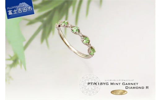 ~gK[lbg^_ChO PT KT1206Rxmgcs200000ߗށEiEH|iANZT[