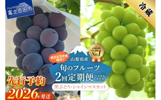 【2026年発送 先行予約】【ミニマム 2回定期便】厳選 旬のフルーツ定期便(黒ぶどう1房・シャインマスカット1房)山梨県富士吉田市18000果物・フルーツマスカット・ぶどう