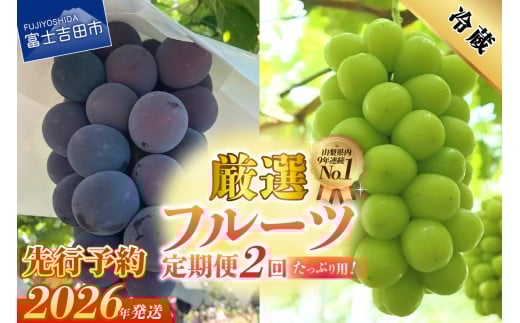 【2026年発送 先行予約】【2回定期便】厳選 旬のフルーツ定期便(黒ぶどう1kg以上・シャインマスカット1kg以上)山梨県富士吉田市23000果物・フルーツマスカット・ぶどう