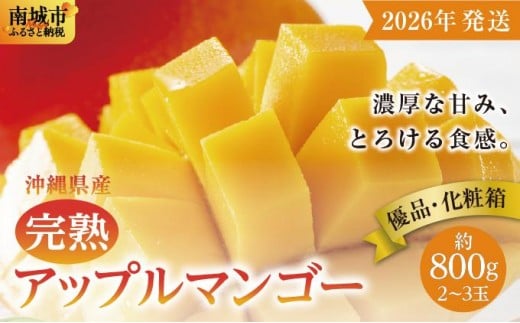 【2026年発送】<優品>完熟アップルマンゴー約800g(化粧箱)2玉〜3玉沖縄県南城市23000果物・フルーツマンゴー・パイナップル