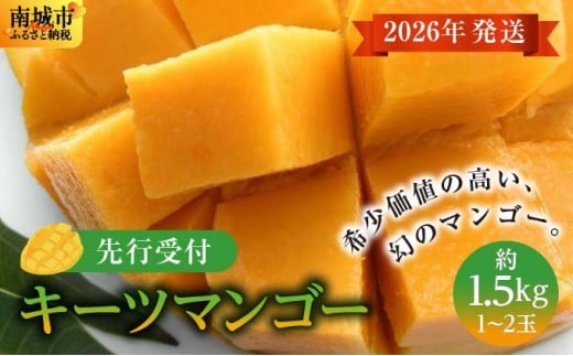 (先行受付)【2026年発送】キーツマンゴー 南城市 約1.5kg (1〜2玉)沖縄県南城市20000果物・フルーツマンゴー・パイナップル