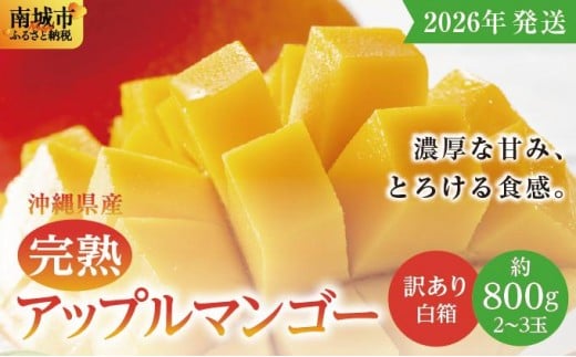 【2026年発送】<訳あり・ご家庭用>完熟アップルマンゴー約800g(白箱)2玉〜3玉沖縄県南城市8000果物・フルーツマンゴー・パイナップル
