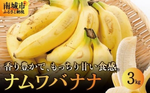 バナナ 南城市 ナムワバナナ3kg沖縄県南城市14000果物・フルーツその他 果物・フルーツ