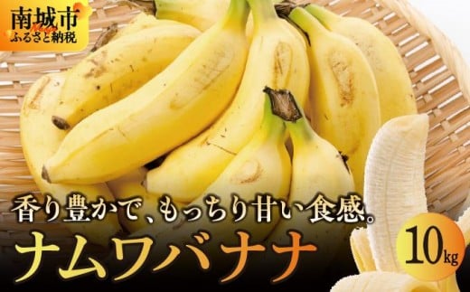 oii s ioii 10kgꌧs38000ʕEt[c̑ ʕEt[c