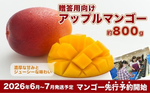 y2026NEs\zpAbv}S[@800giϔjꌧs15000ʕEt[c}S[EpCibv