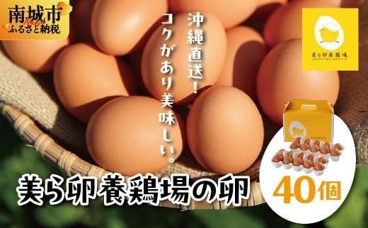 卵の黄身が掴めるほどの新鮮さ 美ら卵養鶏場の卵 40個【順次配送】沖縄県南城市10000卵・乳製品卵(鶏、烏骨鶏等)