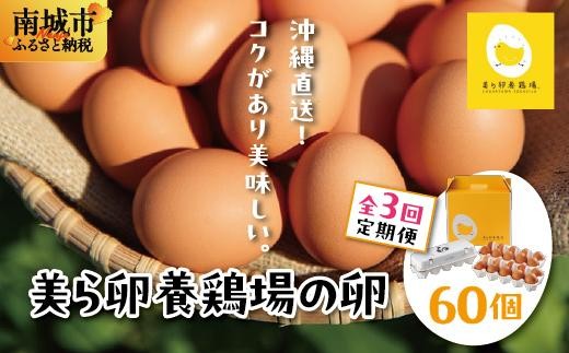 卵の黄身が掴めるほどの新鮮さ 美ら卵養鶏場の卵 60個【3ヶ月定期便】沖縄県南城市34000卵・乳製品卵(鶏、烏骨鶏等)